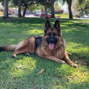 Meet your Posher, Robyn